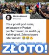''Kralovec był, jest i będzie czeski''