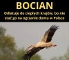 Na czasie