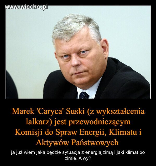 Bo w PiSie sami eksperci, od wszystkiego...