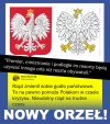 Sprawy ważne i ważniejsze