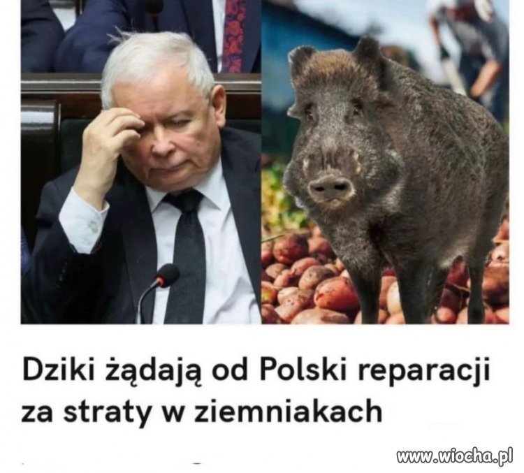 Trzeba to przemyśleć 