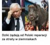Trzeba to przemyśleć 