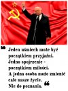 Kilka pokoleń
