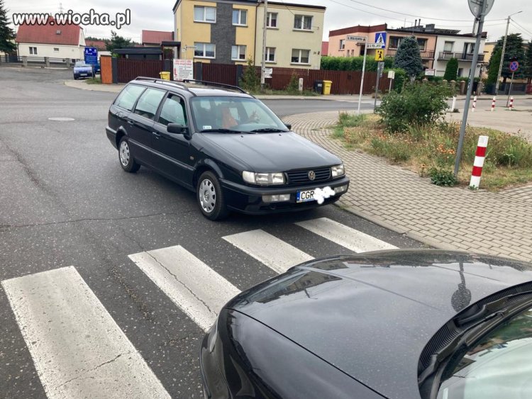 Mistrz parkowania piesio