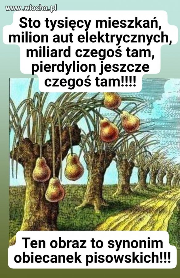 Po 7 latach rządów PiS aż dziwne że nie ,