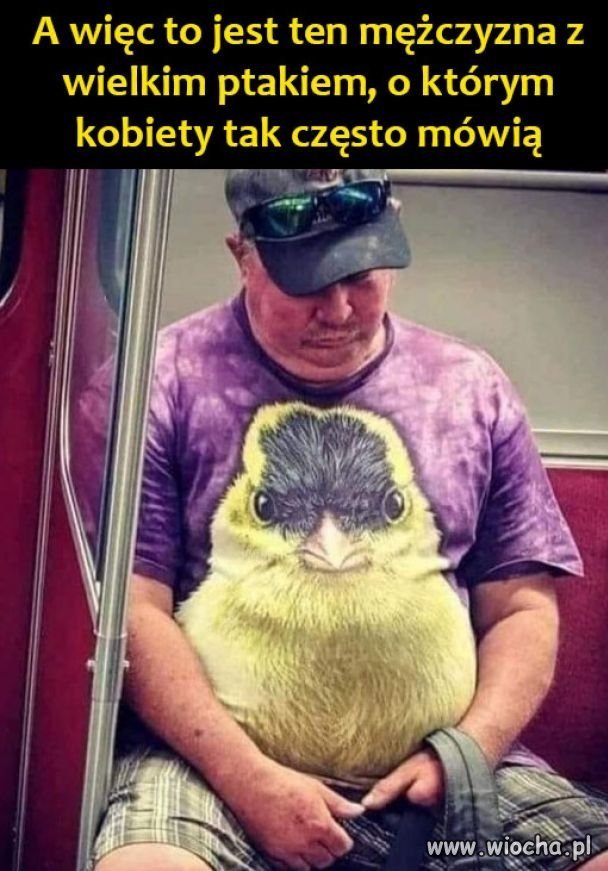 Wielki ptak