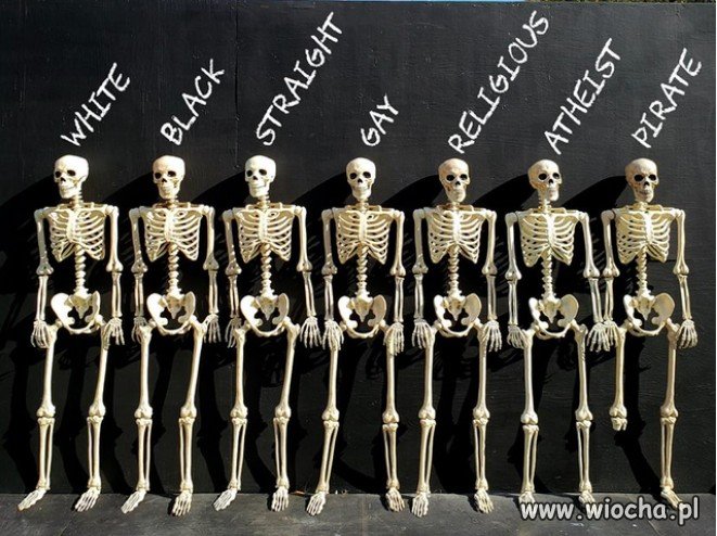 Tak to wygląda