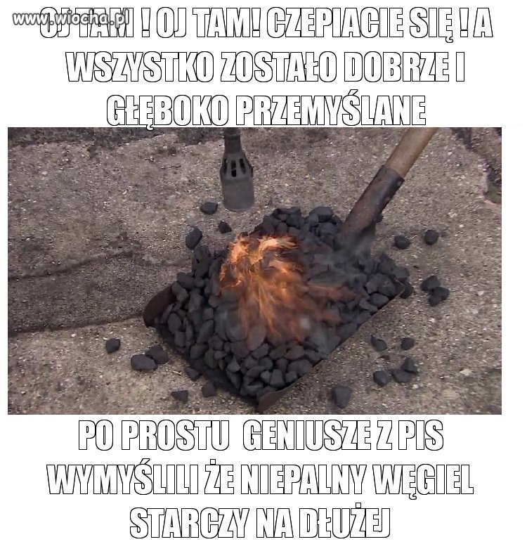 Takie tam genialne pomysły  pisowskich śmieci