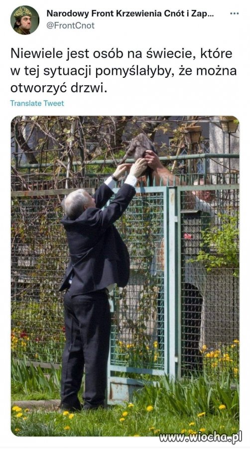No przecie