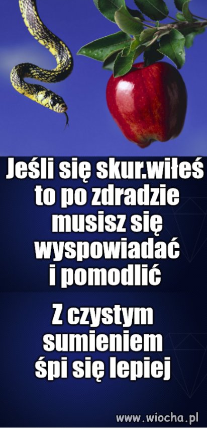 Porady ciotki Włady
