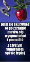 Porady ciotki Włady