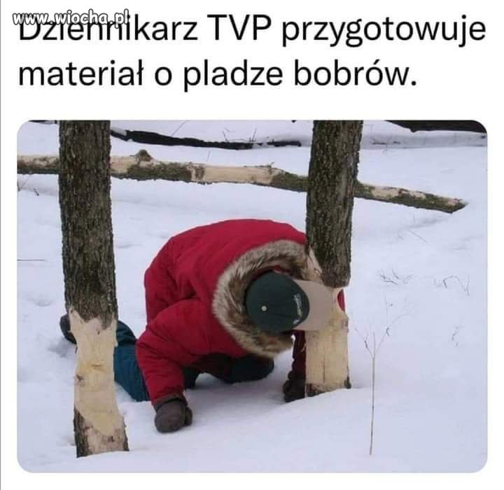 Znalezione