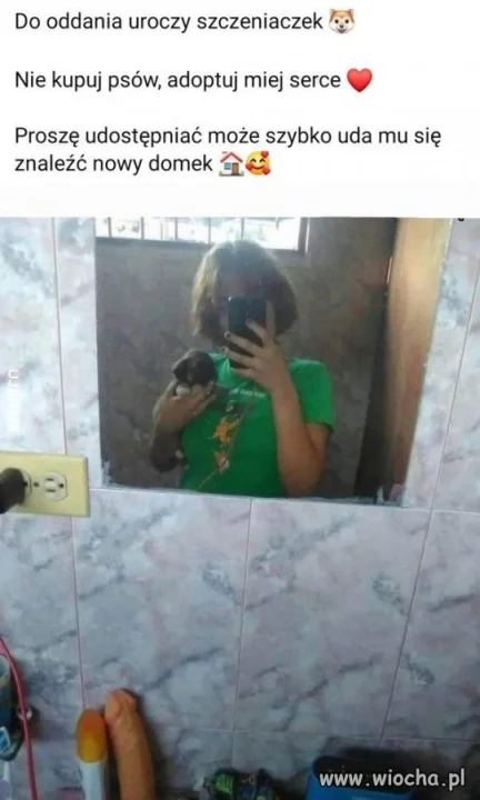 Szczeniaczek ?