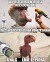 Samo życie
