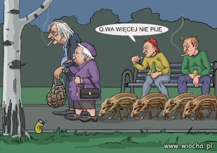 Omamy 
