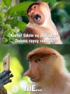 Lepsze niż co niektóre Karyny mają