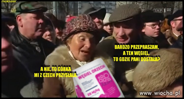 Miś 2022