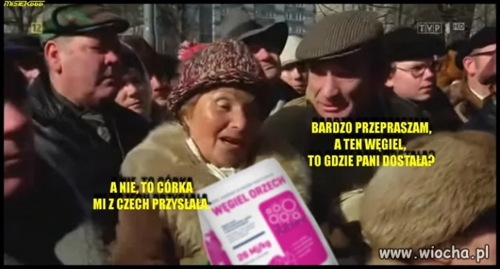 Miś 2022