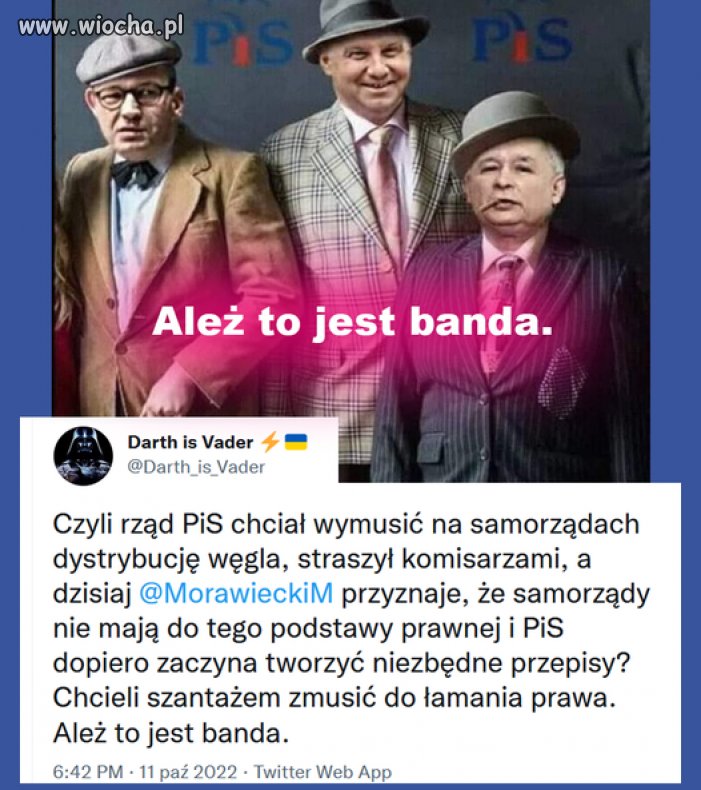 Patologia