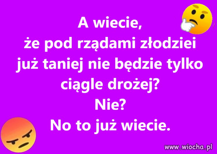 PiS to najgorsza zaraza jaka mogła nas spotkać
