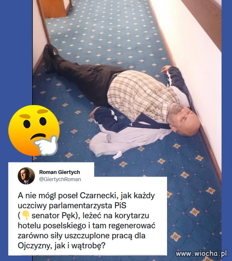 Senator Pęk, tutaj ewidentnie stosował, wielkie myślenie o Polsce.