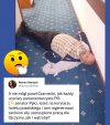 Senator Pęk, tutaj ewidentnie stosował, wielkie myślenie o Polsce.