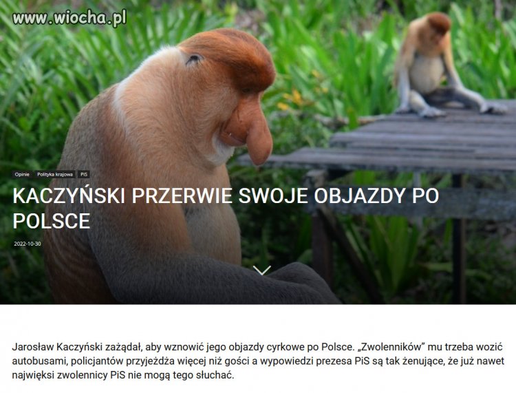 Im więcej Kaczyńskiego w kraju, tym mniejsze poparcie dla PiS