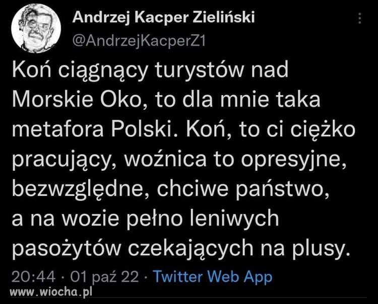 Bardzo dobre porównanie.