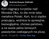 Bardzo dobre porównanie.