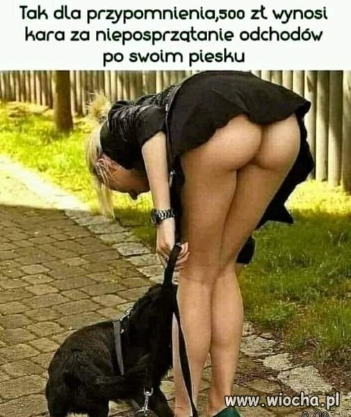 I to jest kultura