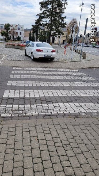 Mistrzyni parkowania