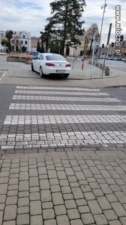 Mistrzyni parkowania