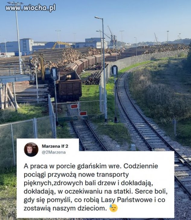 A ty Polaku zbieraj chrust