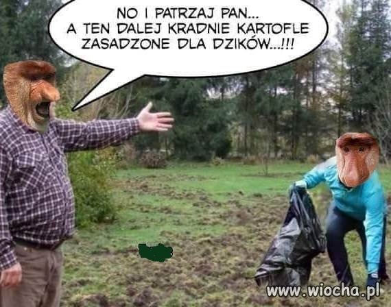 W państwie bogactwo ale ten