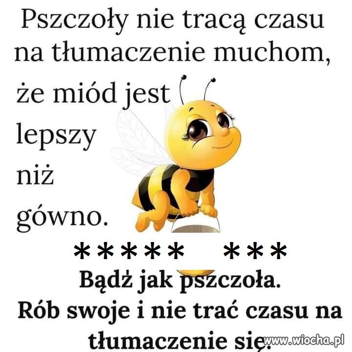 Niby wszyscy to wiemy