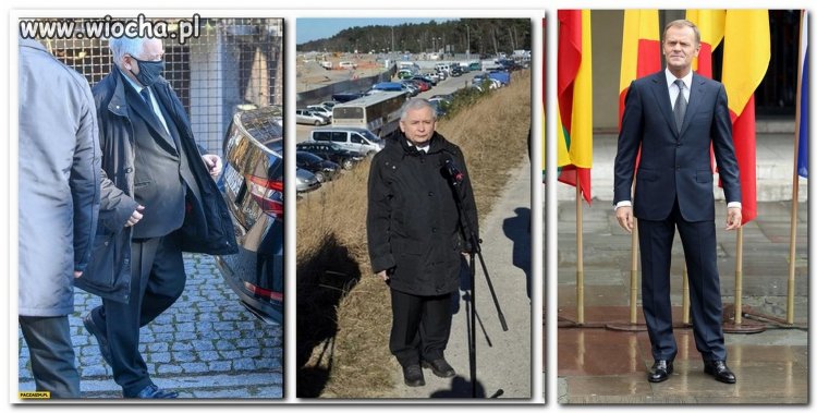 Szefowie partii