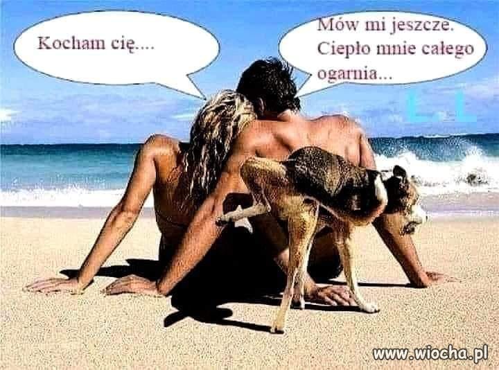Rozwiane pragnienia