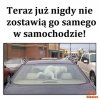 Rozbić szybę i kota uwolnić