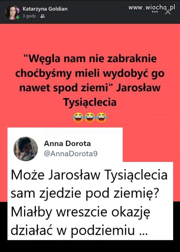 No tak, bo normalnie to na drzewach rośnie