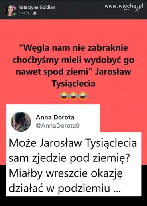 No tak, bo normalnie to na drzewach rośnie