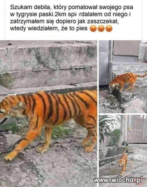 Tak to zostawię