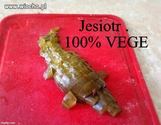 Weganie też zasługują