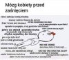 A jeszcze w dodatku ta franca Kryśka