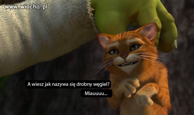 Pytanie do śerściucha 