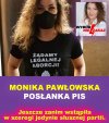 PiS to siedlisko ludzi bez honoru 