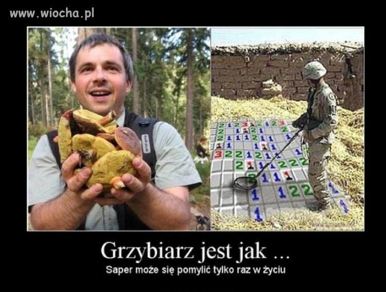 Coś w tym jest