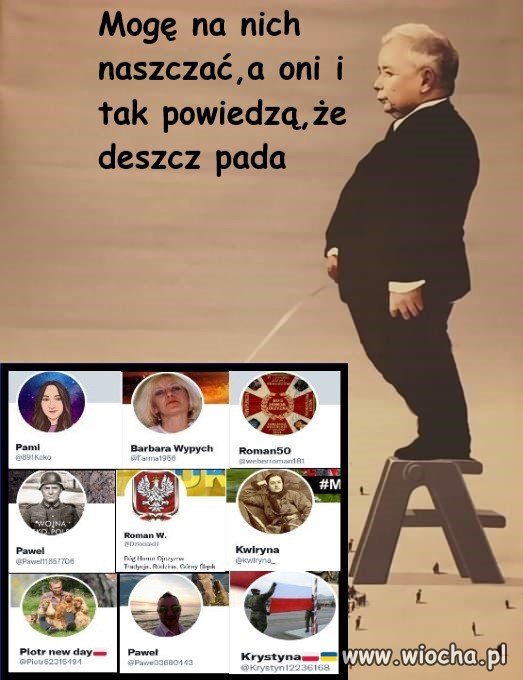 Elektorat 