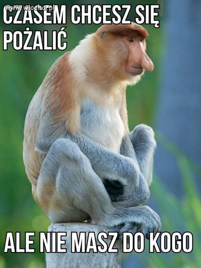 A sąsiad