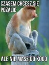 A sąsiad
