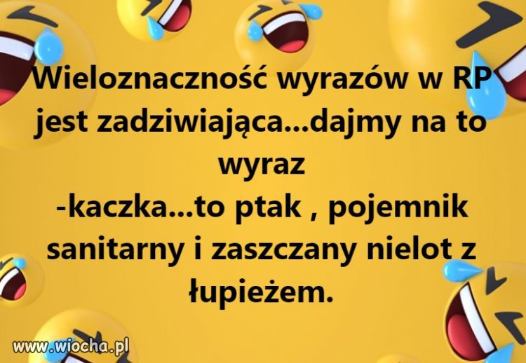 Może być jeszcze dziennikarska...